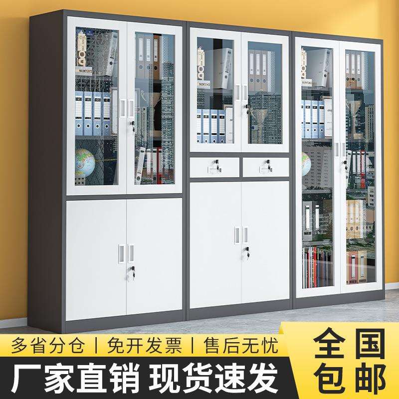 财务对开门凭证柜铁皮柜文件柜办公室资料柜档案柜收纳柜储物柜子