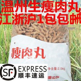 温州特产零食小吃猪肉瘦肉丸瘦肉羹成型的 手打肉丸店里用2500克