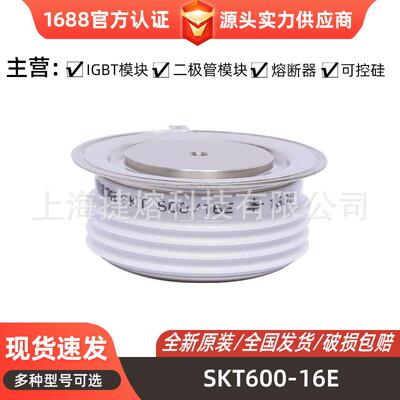 SKT600-16E SKT760-16E SKT1202-20E 圆饼晶闸管可控硅模快光伏
