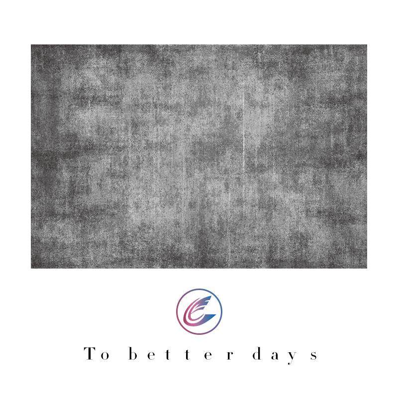 正品北欧地毯客茶几沙发毯ins家毯用民宿简素色约卧厅室地满铺可