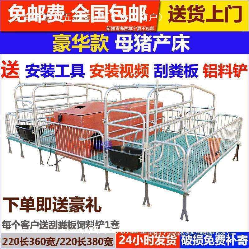 母猪产床复合板老母猪双体单体猪用产保两用国标热镀新管厂家直销