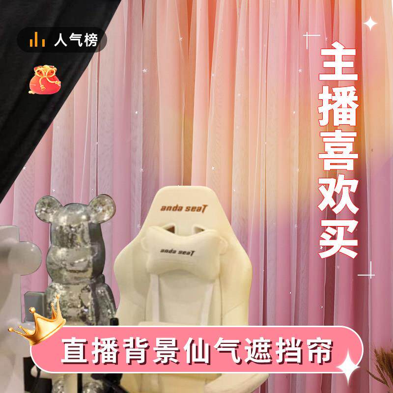 2025直播间背景窗帘布魔术贴免打孔网红女主播高级感专用装饰纱帘