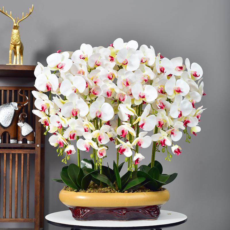 pu手感蝴蝶兰花艺摆件客厅茶几电视柜摆设假花装饰花,家居饰品,仿真花/假花,淘宝优惠券,粉丝福利购,淘宝优惠卷