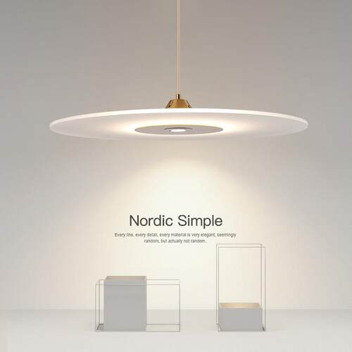 北欧简约现代大号铁艺吊灯 餐桌主灯60cm鱼线型LED灯具
