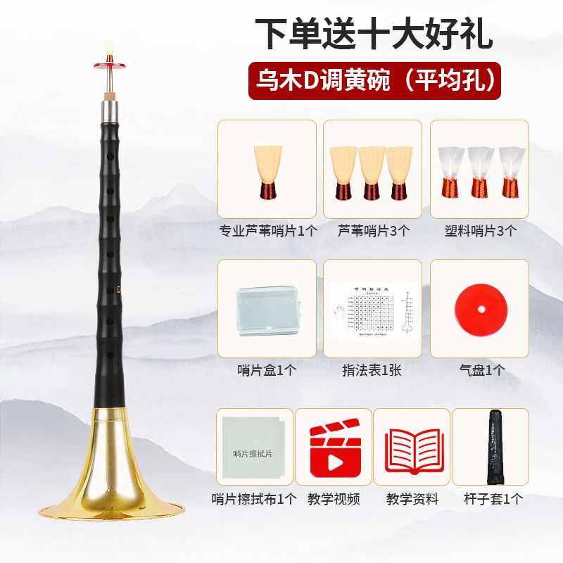 唢呐喇叭邮乌木d锁乐器呐哨全套小号儿童精品片大奏初学者包调演