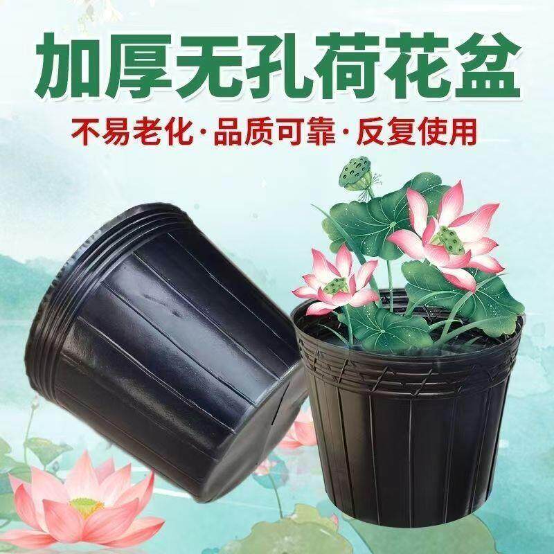 加厚营养杯育苗容器育苗盆盆营无钵69244897孔荷养花专用