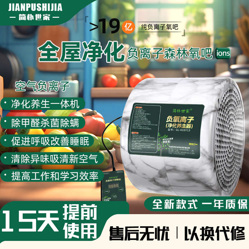 小粒径负离子空气净化器无臭氧生态家用纯负离子发生器除甲醛清新