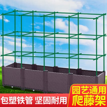 蔬菜爬藤架葡萄支架芸豆黄瓜种植架豆角搭架子庭院支撑杆户外花架