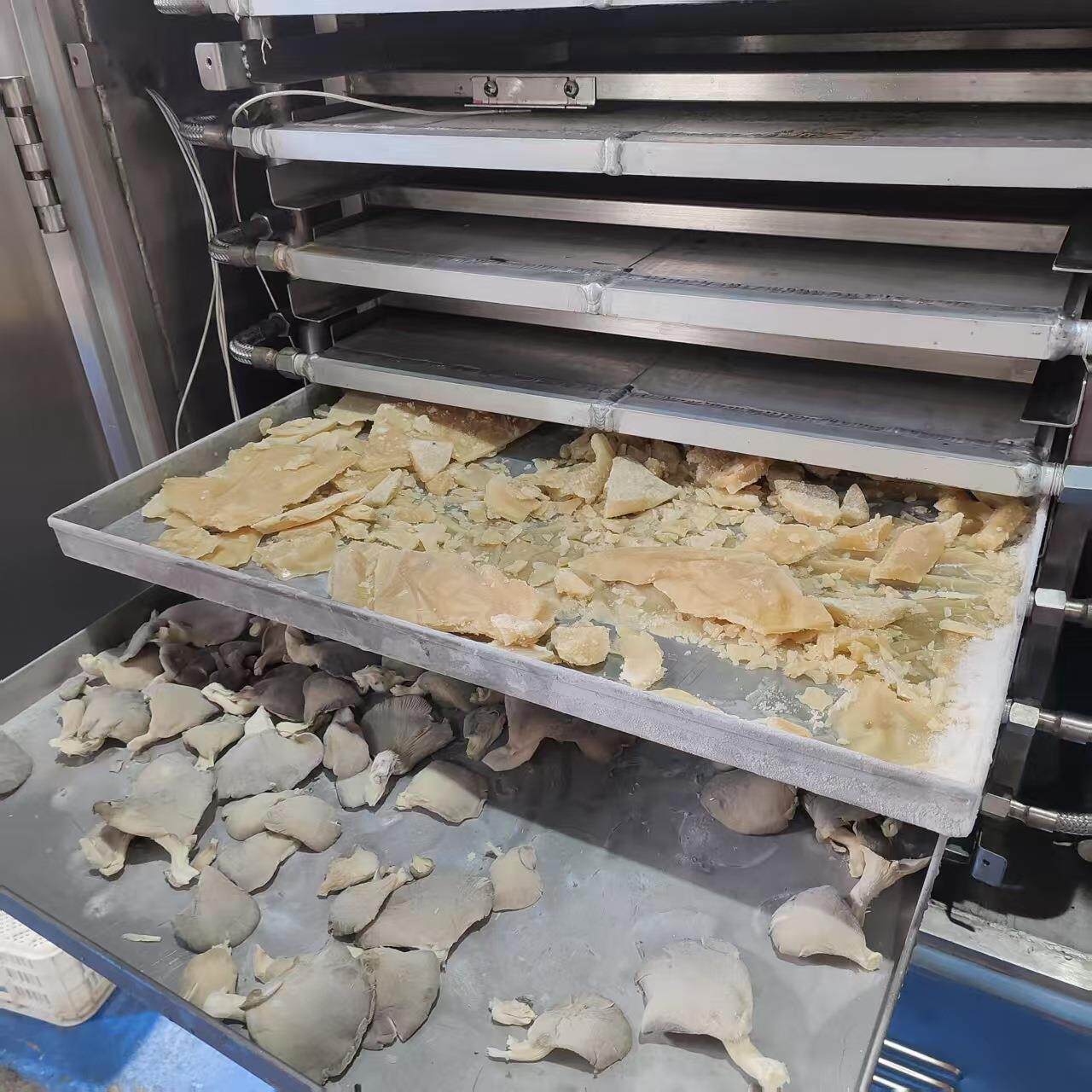蘑菇菌类低温真空冻干机酸奶块保鲜设备蚯蚓鱼饵宠物饲料冻干机厂