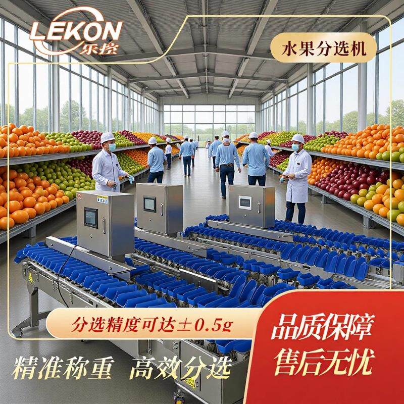 智能水果重量分选机精准分级高效分拣不伤果料盒式分级秤