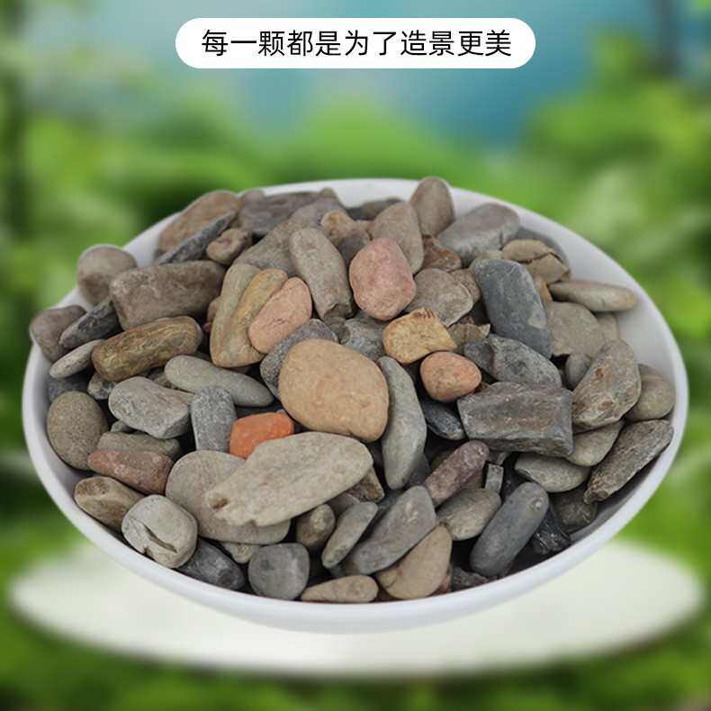 优质溪流石50斤包邮水池鱼缸造景石水草龟缸雷龙鱼底砂铺底溪流石