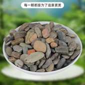 优质溪流石50斤 水池鱼缸造景石水草龟缸雷龙鱼底砂铺底溪流石 包邮
