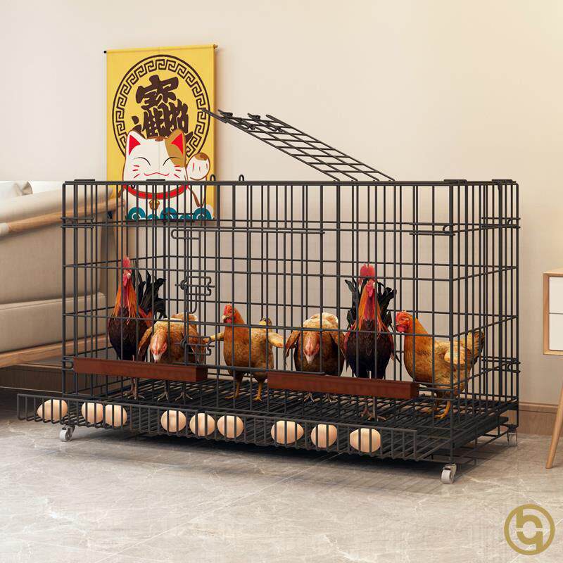 鸡笼子家用养鸡笼大号特大号自动清粪折叠养殖笼鸡舍铁丝网鸭狗笼