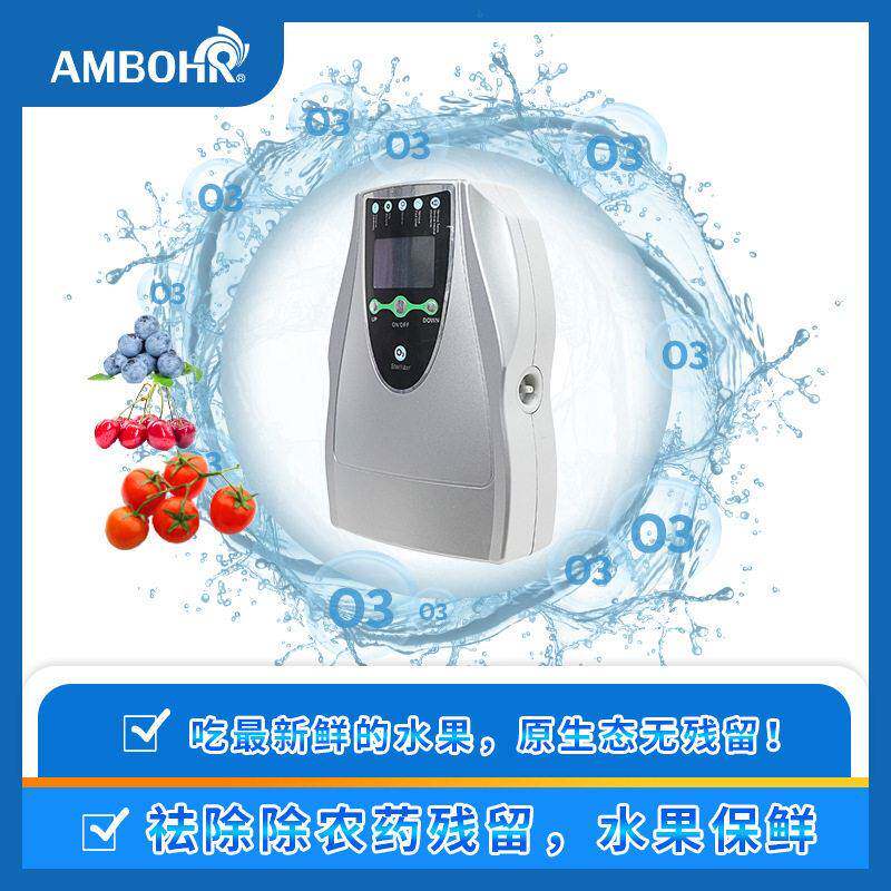 安博尔AM-50肉菜果蔬全自动小型便携清洗机食材多功能活氧清洗机