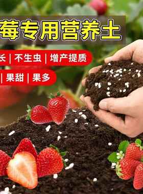 草莓专用营养土瓜果树通用土壤盆栽种植土阳台有机土泥土有机植物