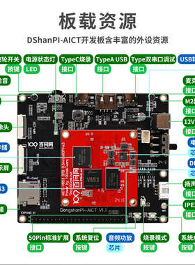 韦东山全志V853AI开发板1Tops算力NPU Linux开发AI入门 秒杀K210