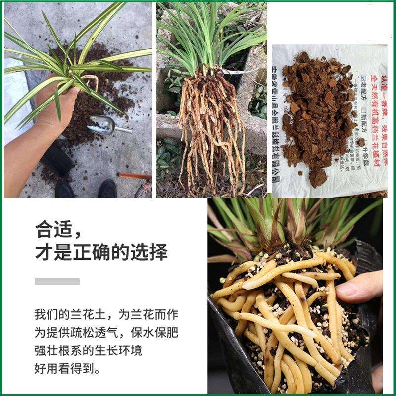 一香牌兰花土高档兰花种植植料蕙兰土兰花专用透气疏松老配方13L