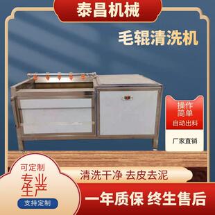 土豆去皮清洗机萝卜红薯清洗去泥机芋头马蹄去皮清洗设备李子清洗