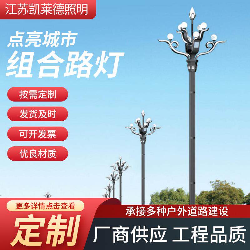 道路组合照明灯市政广场景观灯室外亮化道路玉兰灯公园小区投光灯