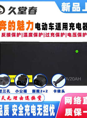 奔的魅力电动车适配充电器48V12AH20AH60V72V54.6V2A3A小公插电摩