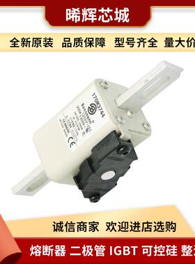 170M3744 170M3745 170M3746 电子元器件低压快速熔断器现货直接
