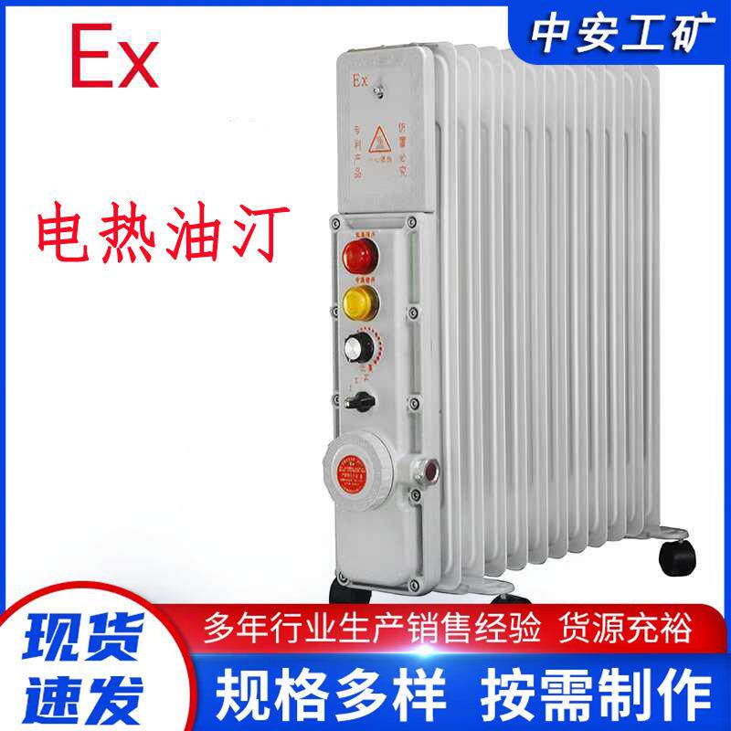 矿用防爆油汀JG/T236煤矿用防爆电暖器取暖器 电热油汀3KW220V