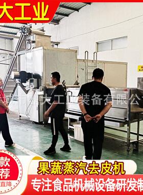 全自动西红柿蒸汽去皮机圣女果通用果蔬深加工连续式智能去皮设