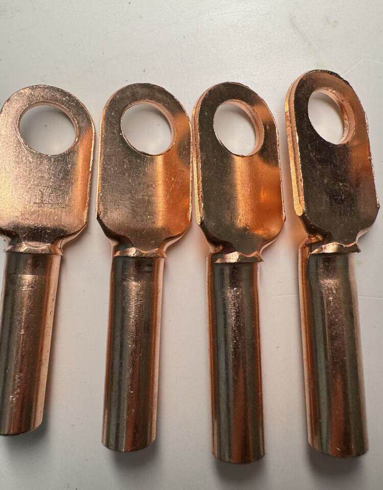 4月13日苏州市一批紫铜铜鼻子1000个网络拍卖公告