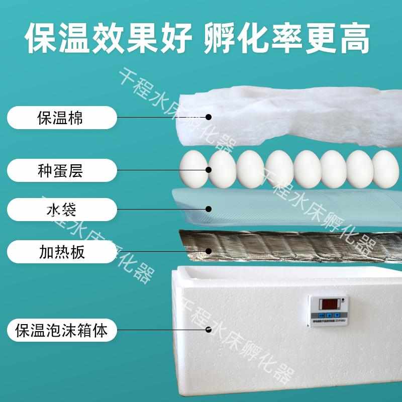 家用小型孵化机自动智能恒温孵化器水床孵蛋器鸡鸭鹅鸽子鹌鹑孵化