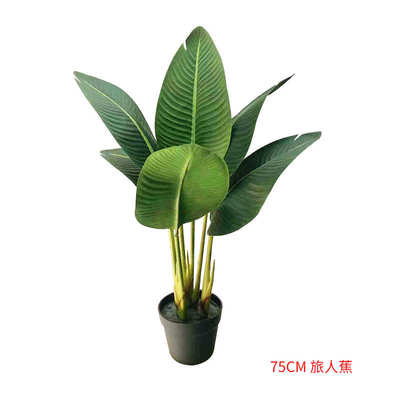 植物旅人家居植假美人蕉盆栽摆件落地装饰植北欧绿仿真大型蕉绿树