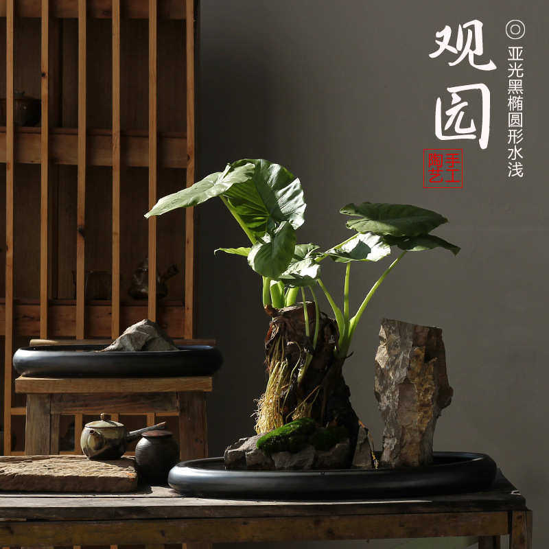 陶瓷黑色大口径浅拼盘米竹菖蒲多肉古典造景枯山水景酒店桌面花盆,家居饰品,花瓶,淘宝优惠券,粉丝福利购,淘宝优惠卷