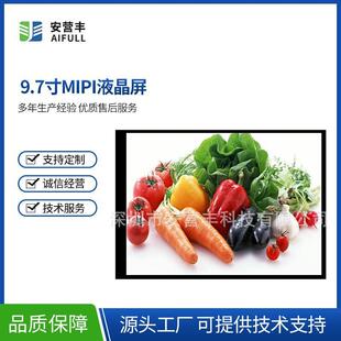 IPS显示屏lcd液晶屏 9.7寸液晶屏 安卓主板 1536x2048分辨率