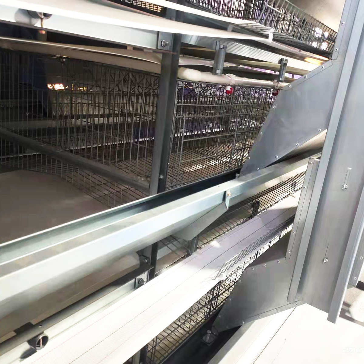 捡厂家机万只一体化蛋鸡笼大型机械养殖蛋全自动养鸡蛋鸡设备10