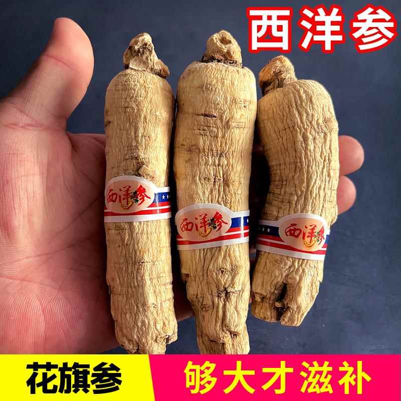 西洋参段整枝花旗参根长白山正品中药材粒头泡水整根非加拿大花旗