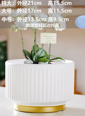 塑料花盆绿萝兰花盆栽套盆大口径绿植水培装饰盆北欧简约加厚