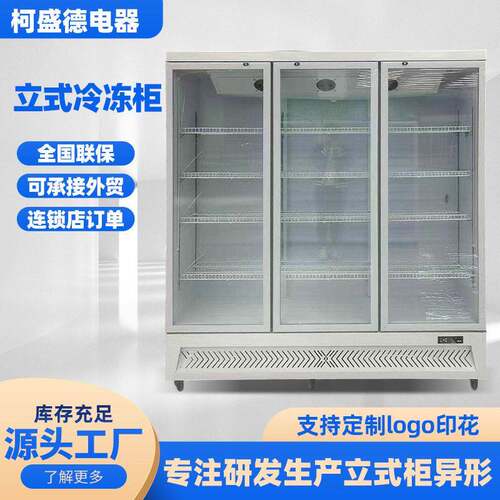 冷冻柜商用玻璃门立式冰柜海鲜丸子肉保鲜冷冻展示柜超市跨境
