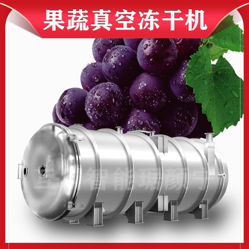 大型200平方冻干机食用菌冻干设备羊肚菌鹿茸真空冷冻低温干燥机