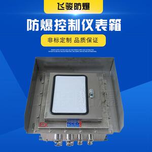 非标防爆仪表箱氮化水解防雨罩户外可开小门可视操作箱壁挂式