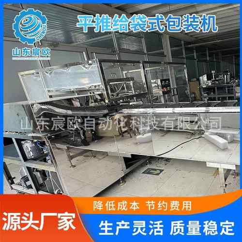 给袋式平推包装机供应螺蛳粉米粉包装机食品预制袋包装设备