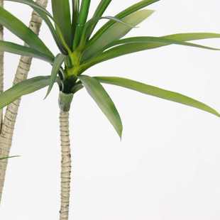 风植轻客厅仿生绿奢装饰木摆件千年植物树仿真盆栽落地室内假造景