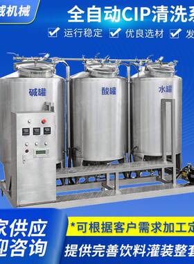 全自动CIP清洗系统果汁饮料生产用设备灌装前处理设备CIP清洗系统