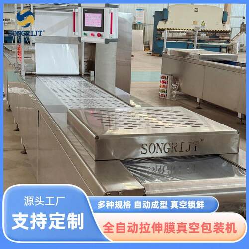 火锅底料全自动连续拉伸膜真空包装机420型真空封口机