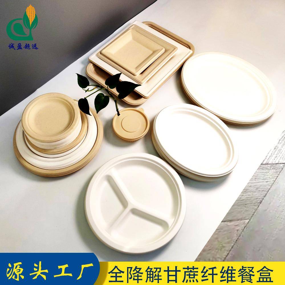 一次性三格餐盘甘蔗浆环保圆盘可降解堆肥方盘餐具免洗托盘烧烤碟