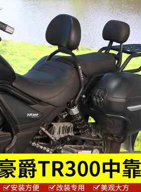 适用于 于豪爵TR300中靠背后靠背HJ300-3A后尾翼后背部支撑改装配