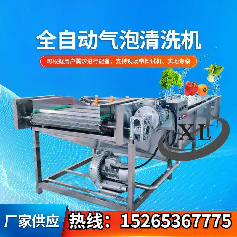 果蔬气泡清洗机自动喷淋清洗蔬菜瓜果流水线龙虾香葱蒸煮漂烫设备