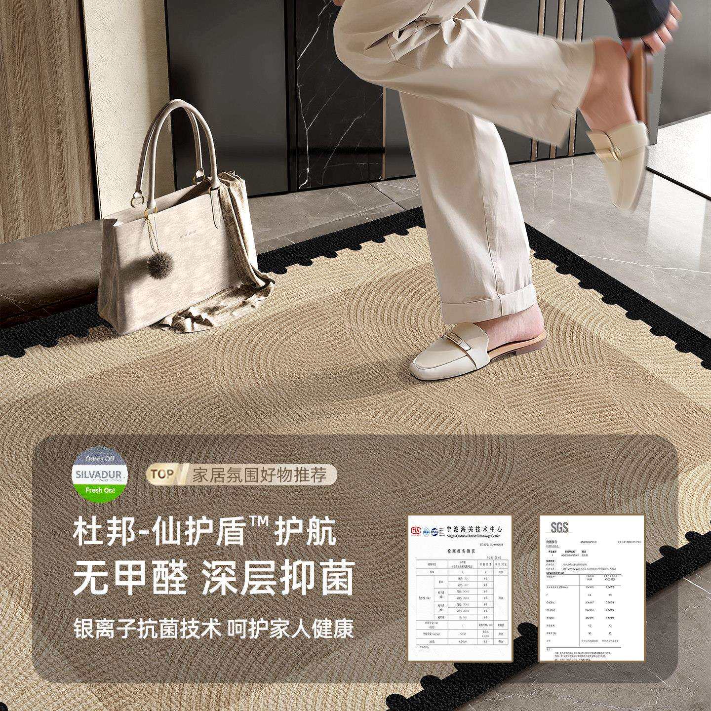 高级入户门户地垫进门门毯门口垫子家用垫玄关客地厅入DM-7177脚
