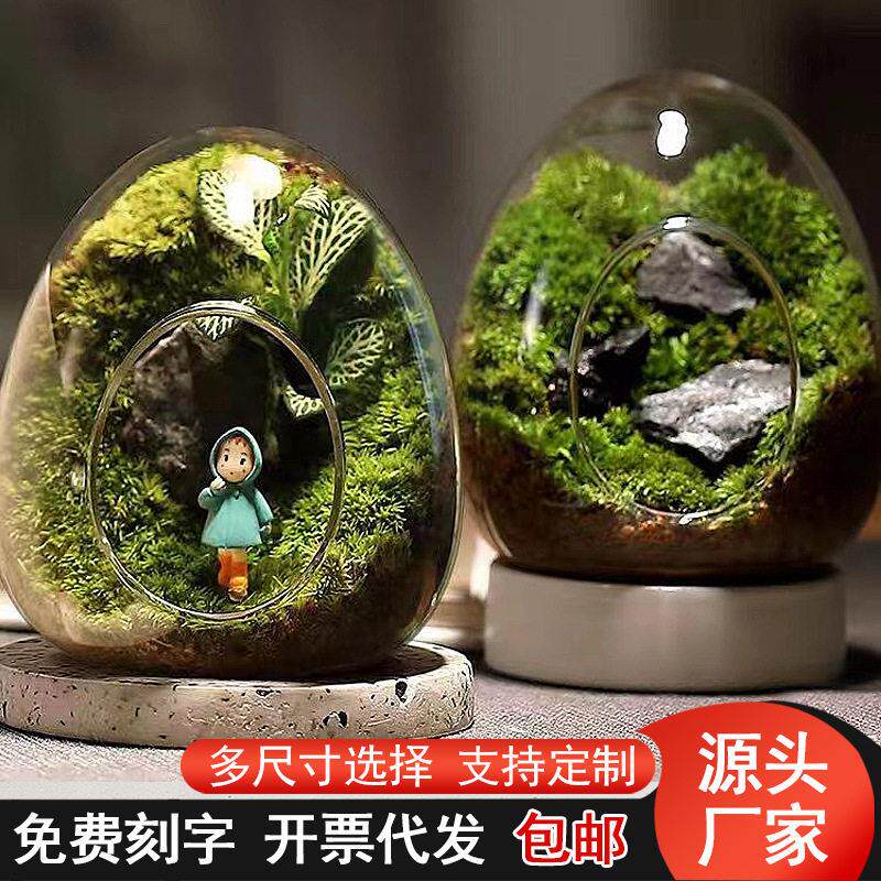 创意微景观蛋形玻璃多肉植物苔藓DIY造型桌面绿植摆件容器罩