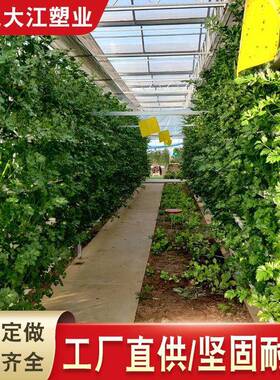 pvc水培管空心100*50工厂直销pvc长方形管白色管子蔬菜管排水管