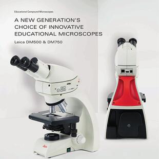 LEICA DM750三目生物显微镜实验室细胞观察研究专用 DM500