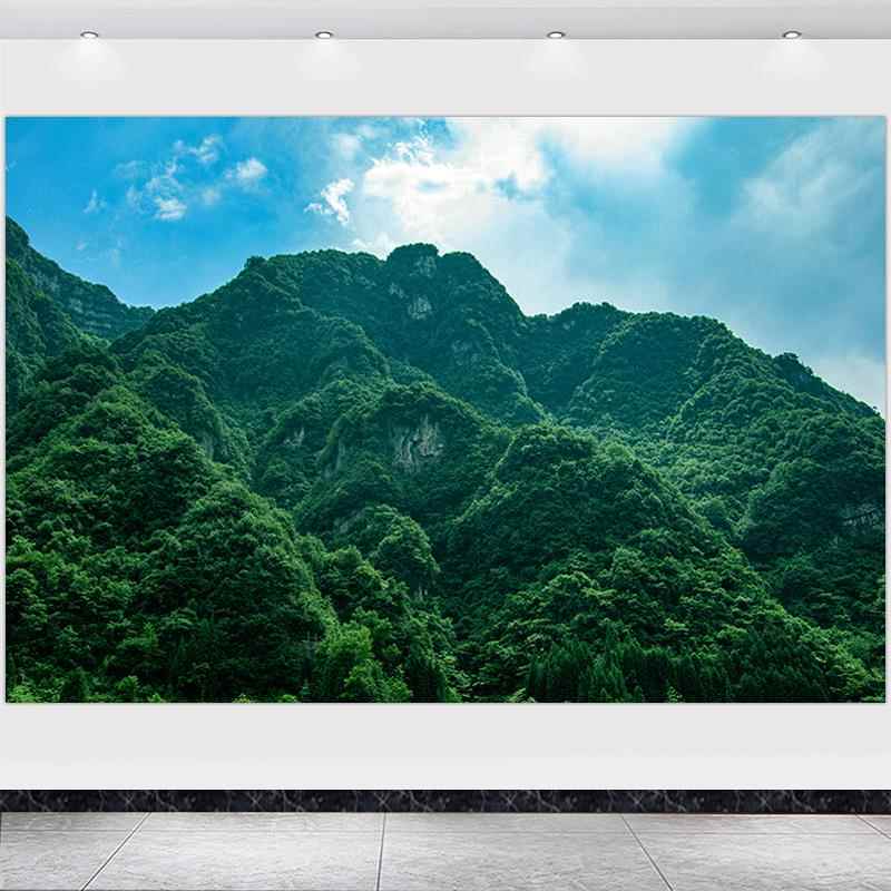 大山画靠山图青山绿树风景画高山镇宅步步高升挂画客厅办公室墙画